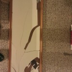 mirror
